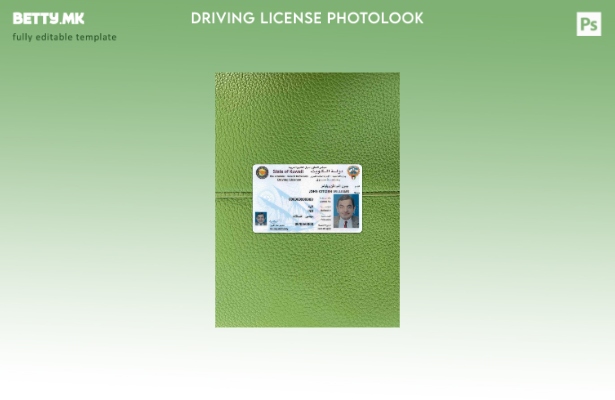 Модерен стил Кувајт DL photolook ПРЕДЕН шаблон